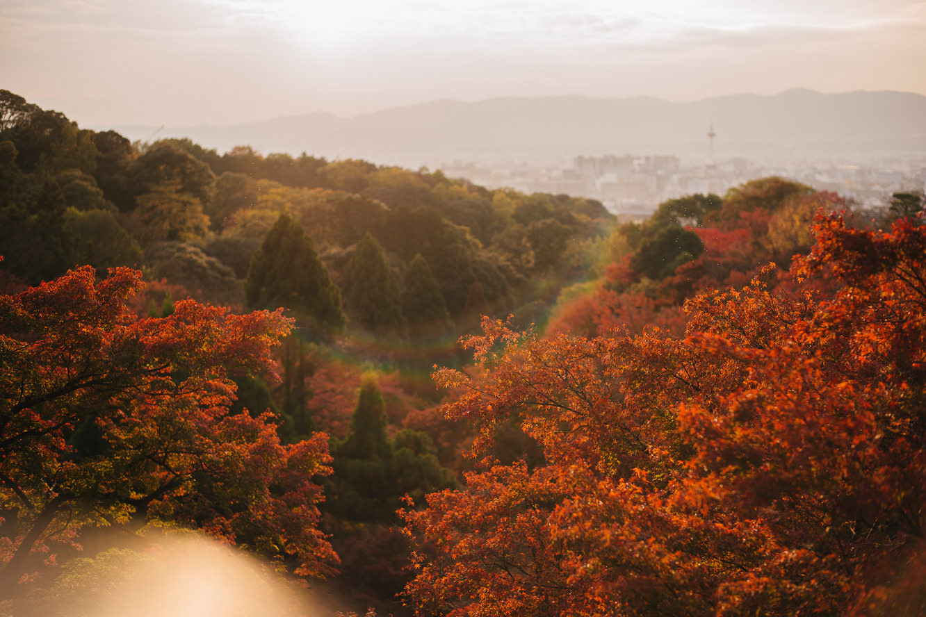 清水寺の秋の風景