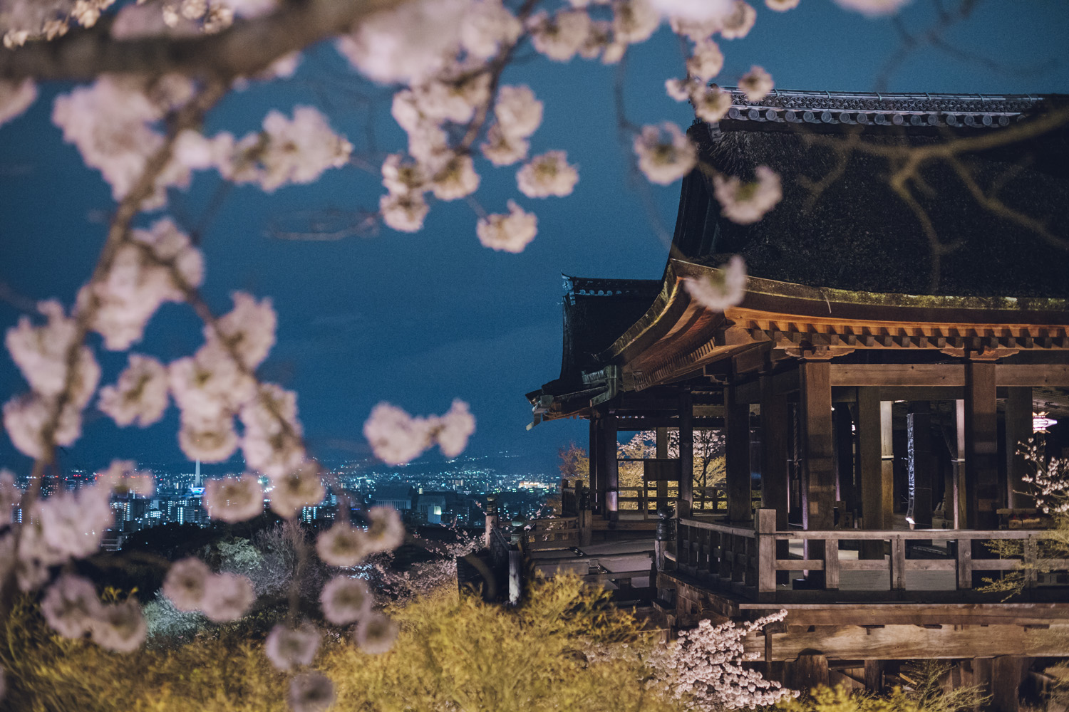 The Evening Special Visit 2020 spring